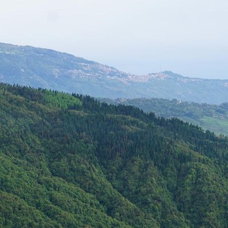 Tranquil Retreat Homestay Ghum Экстерьер фото