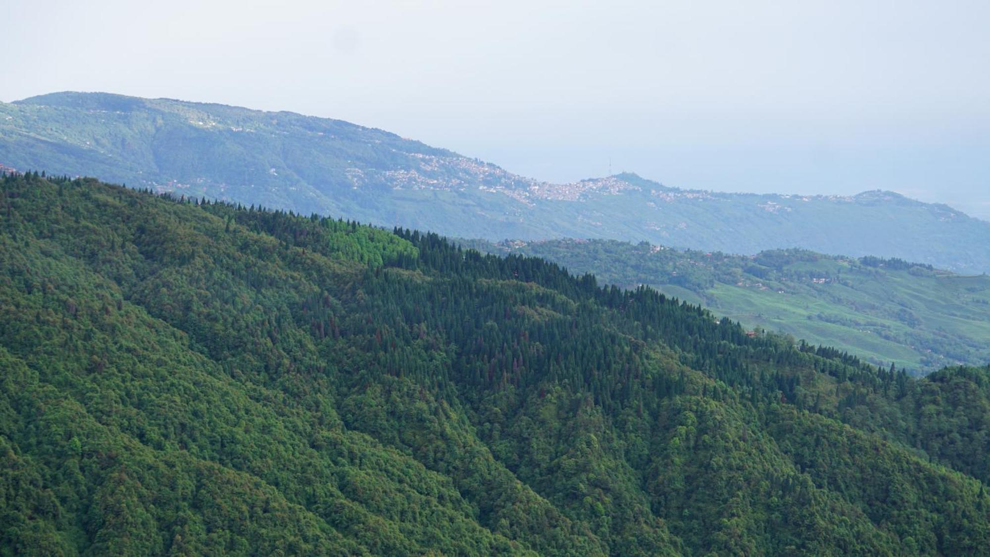 Tranquil Retreat Homestay Ghum Экстерьер фото