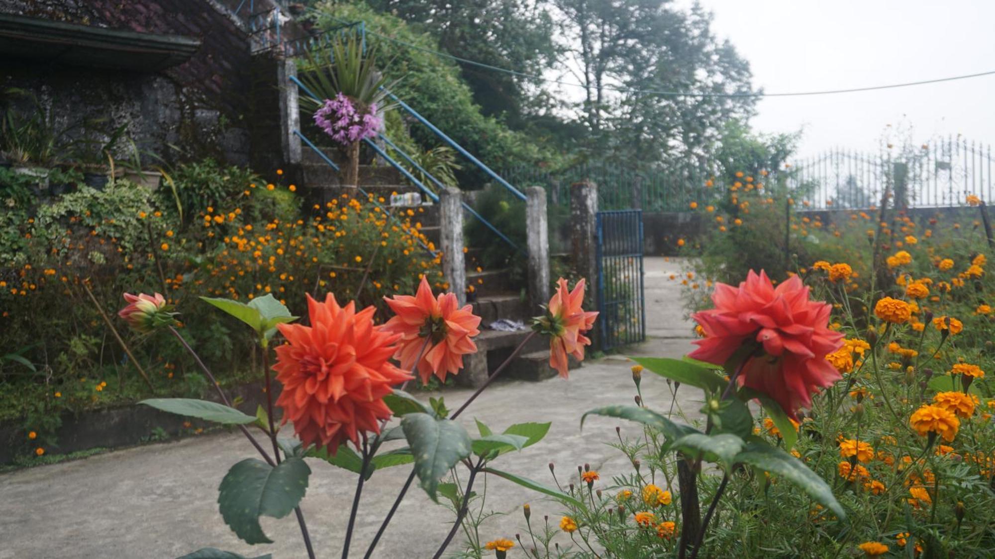 Tranquil Retreat Homestay Ghum Экстерьер фото